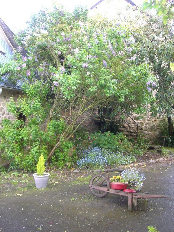 Gites De La Ferme Auberge De Mesauboin Bille Bagian luar foto